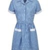 Webshop Gingham Dress - Belt Royal