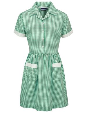 Webshop Gingham Dress - Belt Green