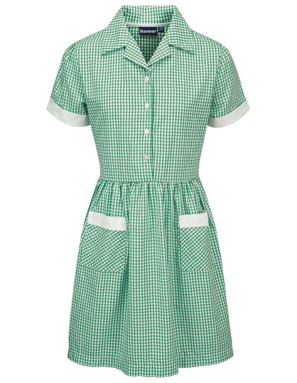 Webshop Gingham Dress - Belt Green