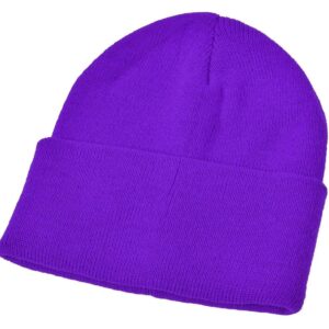 Childs Knitted Hat with Turn Up, Purple, Unicol/William Turner brand