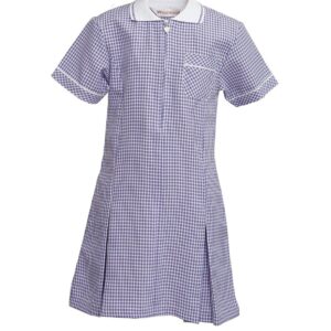 Gingham Dress with Scrunchie, Westwood brand, Sky Blue