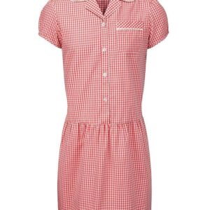 Banner Gingham Dress with Button Front, Red