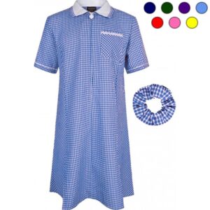 Gingham Dress in Larger Sizes, Offer, Innovation brand, Sky Blue