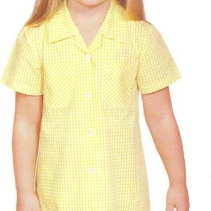 Banner Gingham A-Line Dress (Buttoned Front), Yellow