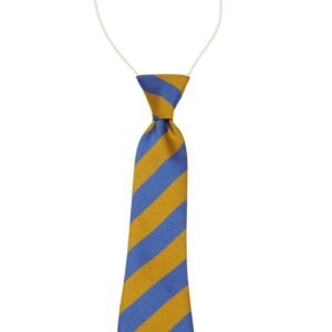 Infant Tie with Elastic Fastening, Gold with Royal Blue Stripe