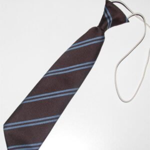 Infant Tie with Elastic, Brown with Sky Blue Double Stripe