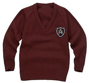 Cotton/Acrylic V-Neck Jumper, MagicFit , Brown with embroidered emblem