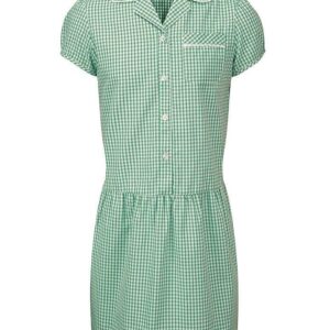 Banner Gingham Dress (Buttoned Front), Green