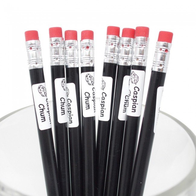 sw_on_pencils1.jpg sw_on_pencils1.jpg