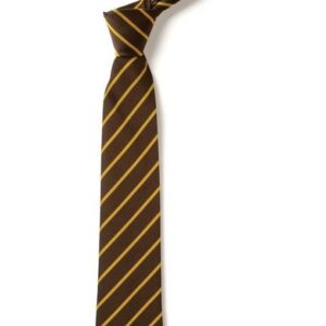 Brown and Gold Striped Tie